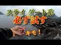 ステイとダート系！エギング。eging ！gopro7