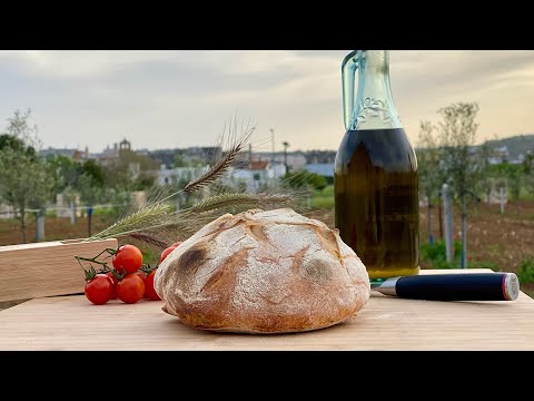 PANE di ALTAMURA fatto in casa ricetta originale Pugliese