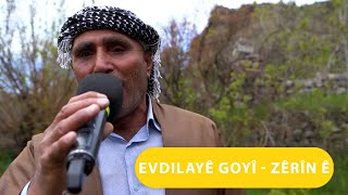 Evdilayê Goyî - Zêrîn Ê