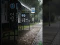 비 오는 정류장, 잠시 머무는 시간 🌧️ Rainy Bus Stop | Short Rest