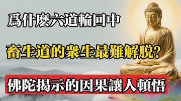 為什麼六道輪迴中，畜生道的眾生最難解脫？佛陀揭示的因果讓人頓悟!#佛教 #佛法 #佛教玄學 #佛教智慧 #佛學知識 #佛學智慧 #修心修行 #佛教文化 #禪悟人生 #傳統文化