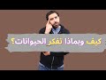 هل الحيوانات تفكر وهل تعرف حالها 