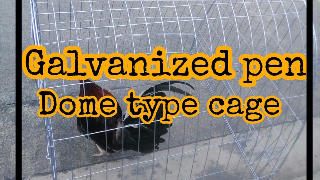 Cage design for gamefowl gamefowls cage fabrication agribusiness