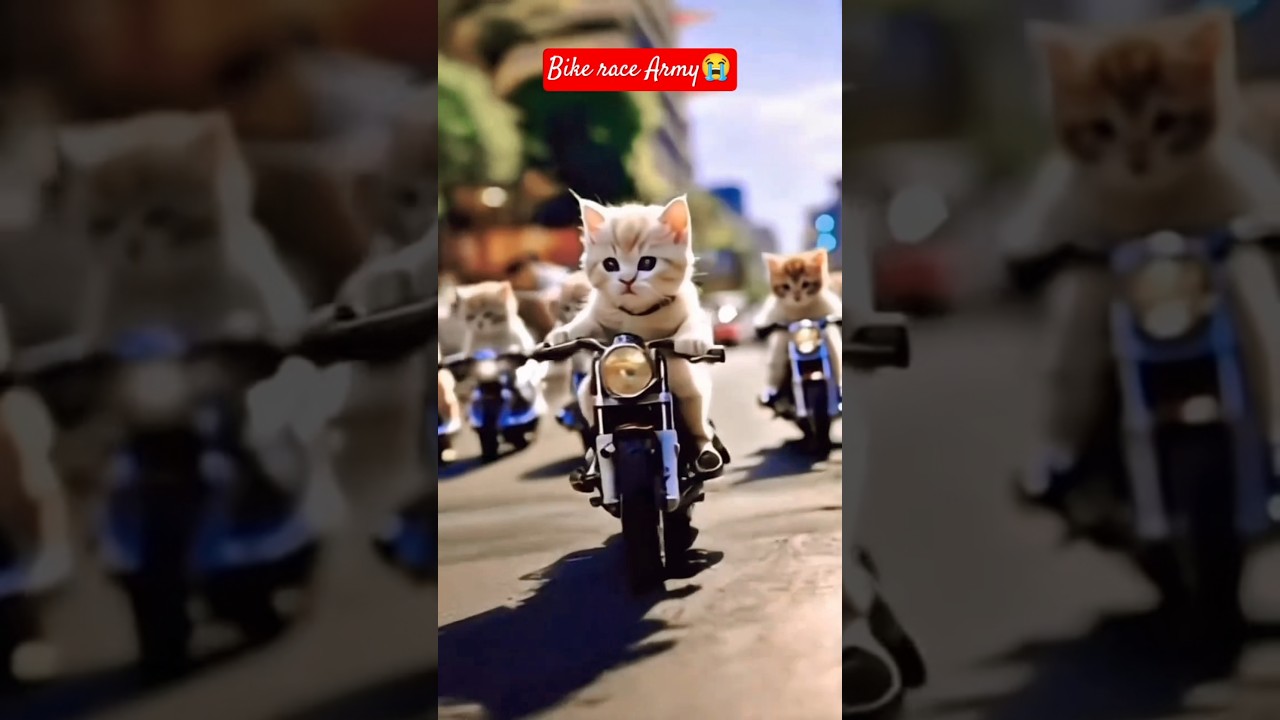 Catbikerace 😜🥰 armytraining 