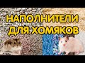 Наполнитель для хомяков: опилки, кукурузный и древесный наполнитель – какой лучше?