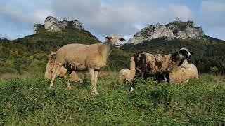 Národný Park Malá Fatra