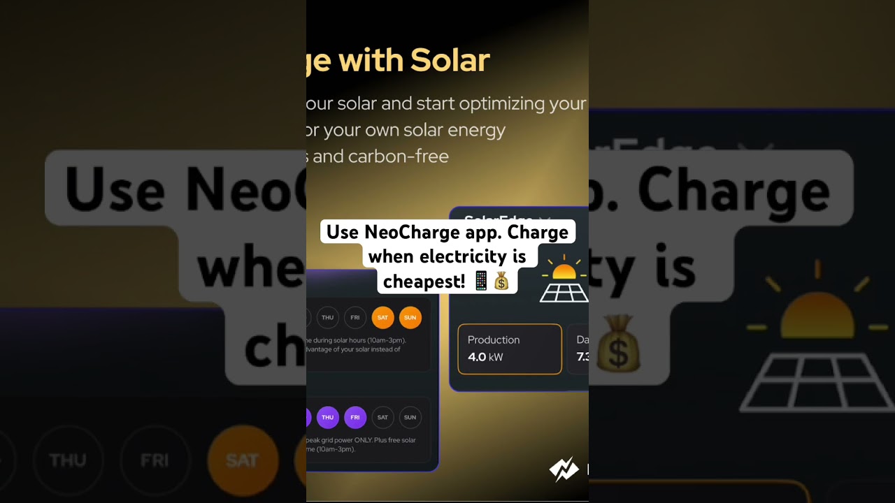 Essential tips for every EV owner  