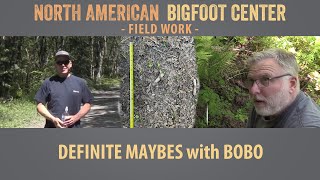 Definite Maybes with Bobo