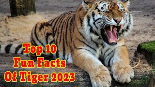Top 10 Fun Facts Of Tiger 2023 | World Wild Animals Discovery Channel 2023
