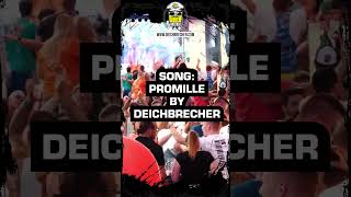 Partyeskalation, Wochenende! Abfeiern mit PROMILLE! #malleparty #promille #feiern #wochenende