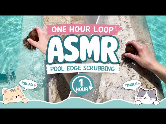 1HR ASMR | Sleep Instantly with Pool Whispers (Looped for Sleep)