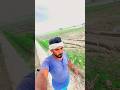 गाँव 🌾 👳 ❤️ dhan खेती 🌾 #farming #farmerlife#ssccglaspirant #chsl#cpo#ssccgltier1