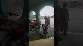 balochi funny videos new