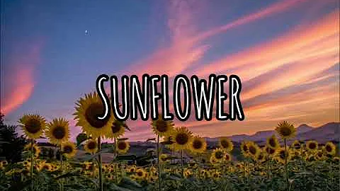 Harry Styles- Sunflower Vol.6 (lyrics)
