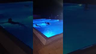 Nunta De Pomina In Satu Mare Mirii Si Invitatii S Au Aruncat In Piscina