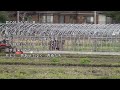 2026-3-10 早春にて/森田童子