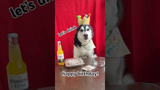 It’s my dogs 21st birthday!