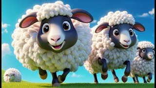 Concurso de Hilado de Ovejas Negras Baa Baa | Canción Infantil | Nursery Rhyme | Música para Niños