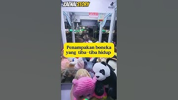 Thumbnail of Oyen the cat was caught in a claw machine #cutecat #cat #animal