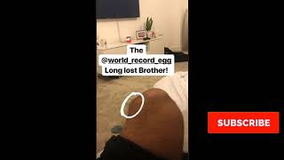 Famous Proof Wes Nelson and Megan Barton Hanson split and are living apart   as she kept London flat Wealth