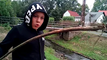 Jaké jsou pelety pro ryby?