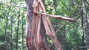 30 lbs Exploding Binary Targets at 30 yards Close look at the Tree