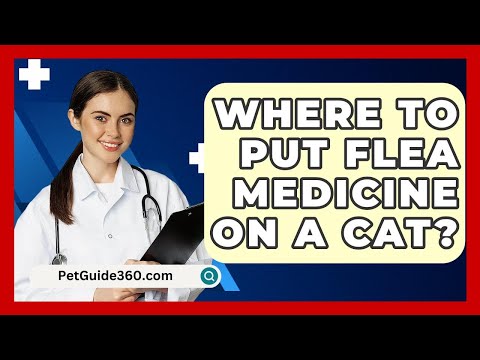 Where To Put Flea Medicine On A Cat? Where To Put Flea Medicine On A Cat?