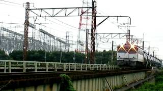 JR貨物 3095レ EF65-2096 12/7/20