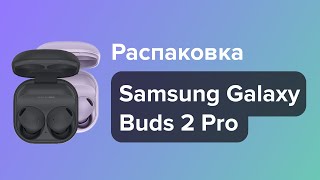 :     Samsung Galaxy Buds 2 Pro