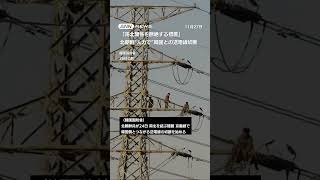 北朝鮮“人力で”韓国との送電線切断　「南北関係を断絶する措置」 #shorts