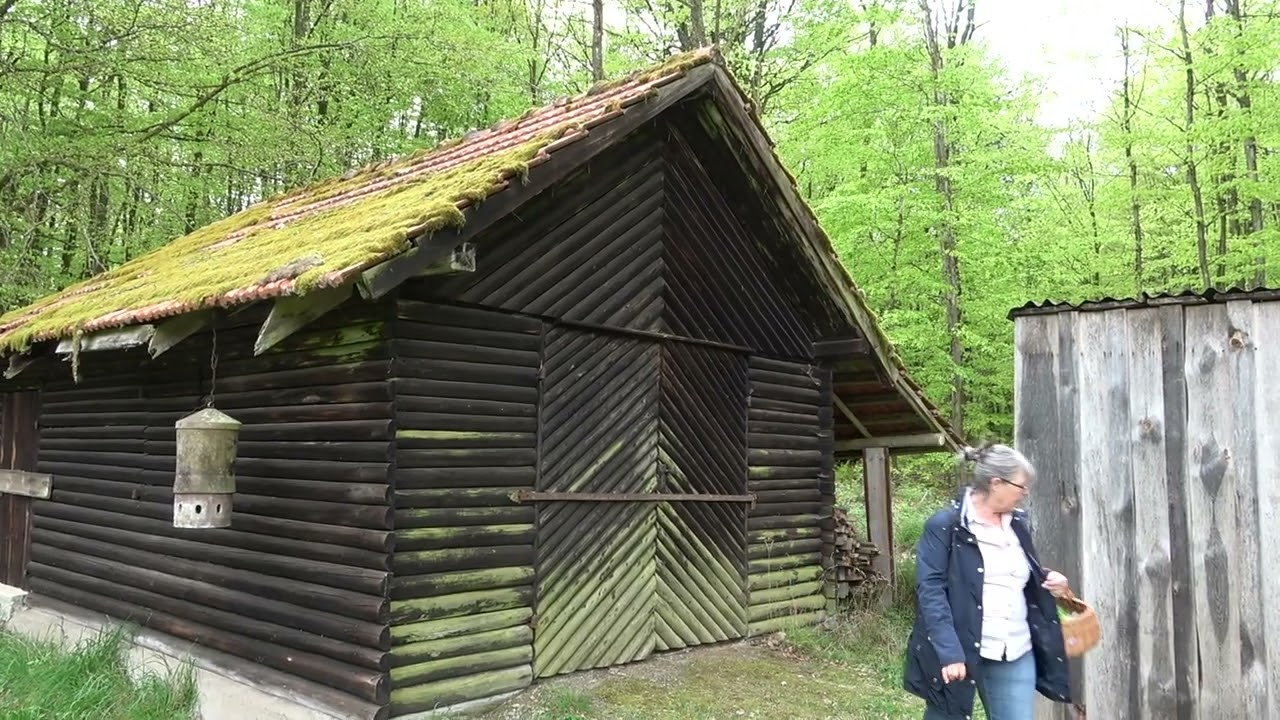 Unterwegs auf dem Schneewittchenweg Main-Spessart-Region