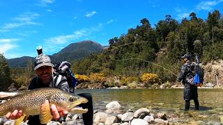 Hunting Monster Trout in Gin Clear Water NZ Fly Fishing