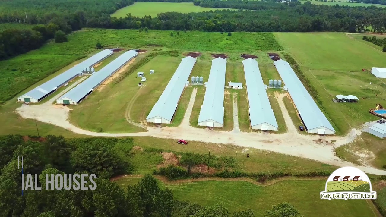 Six Broiler Houses with 36 acres in Milledgeville, Georgia