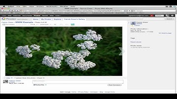 Like Photos in Picasa Web Albums