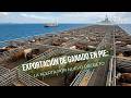 Exportación de ganado en pie: La alerta por nuevo decreto - TvAgro por Juan Gonzalo Angel