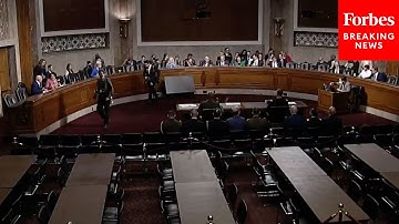 CENTCOM And AFRICOM Commanders Testify Before Senate Armed Services Committee