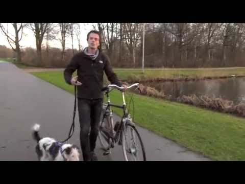 Video: Wenke Om Veilig Met U Hond Te Fiets