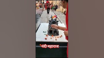 नंदी महाराज के दर्शन से हर मनोकामना पूर्ण हो जाएंगी! भोले बाबा सुनेंगे फरियाद #youtubeshorts #shorts