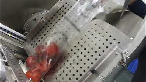 Semi Automatic Flow Wrapper