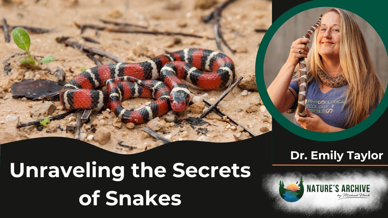 #96: From Rattles to Kings: Unraveling the Secrets of Snakes With Dr ...