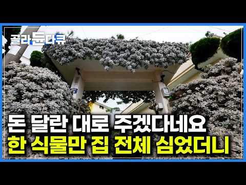돈을 트럭으로 가져와도 안 팔겠다. 집 전체를 덮어버린 전 세계 하나뿐인 정원｜6살에 고아가 된 할아버지가 40년 동안 어머니를 위해 일군 다육 정원｜건축탐구 집｜#골라듄다큐