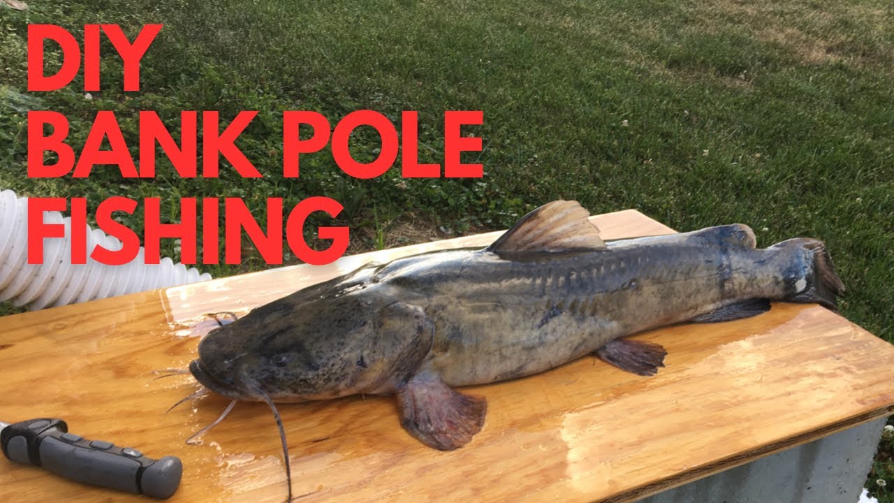 1ST TIME DIY BANK POLE FISHING!! (BIG 8 LB CATFISH) YouTube