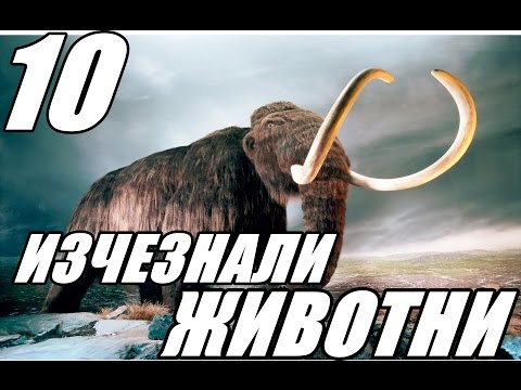 Видео: 10 невероятни животни, които за съжаление са изчезнали - Алтернативен изглед