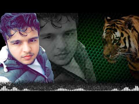 كل ليلة تسوى العمر لو قعدوا اهلي وياي