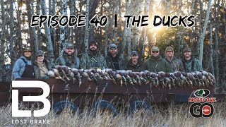 72 MALLARDS IN 12 MINUTES  in Alberta, Canada - Epi - 40 - The Ducks