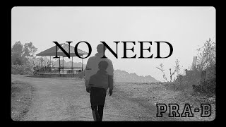 NO NEED (@aleemrk ) || PRA-B || HUNNY RANA || SADGXNG (prod. By @umairmusicxx )