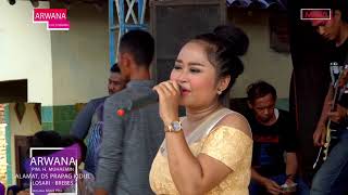 Gendeng Mlorod - Arwana Live Prapag Kidul