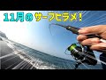 【初冬のヒラメを求めて】11月のサーフルアーフィッシングで釣れてくれたのが！？