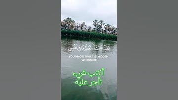 ثلاوة خاشعة للقارئ الشيخ ياسر الدوسري