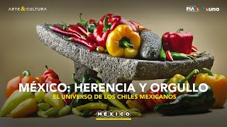 El universo de los chiles mexicanos El universo de los chiles mexicanos